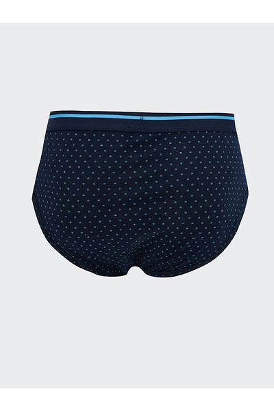 LC Waikiki Standard Mold Cotton Flexible Men's Slip Boxer 3-Piece