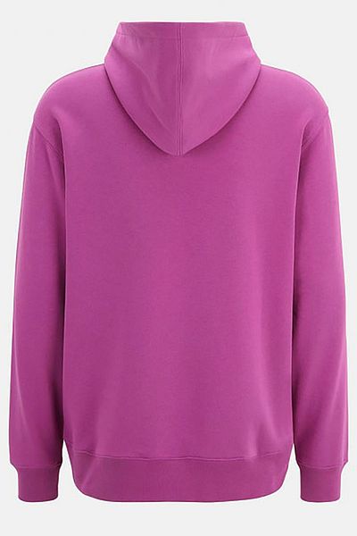 Fila Hooded Sweatshirt Embroidery Detail Su 411113