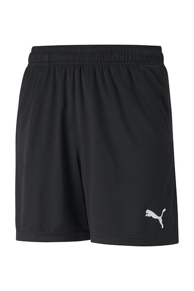 Puma zespół RISE