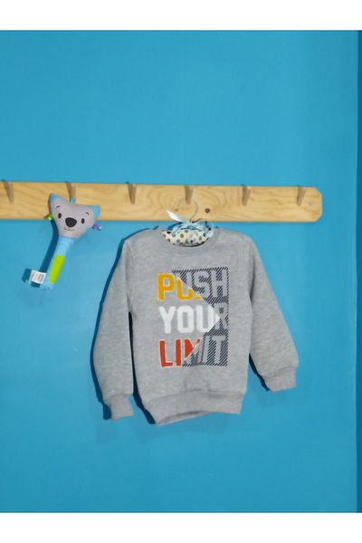 Alfa 6 Year Old Boy Gray Sweatshirt - Holiday