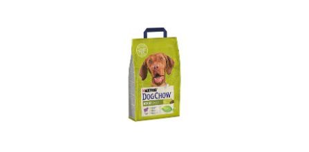 Sadık Dostlarımız Köpekler İçin Pet Shop'ta Neler Bulabiliriz?