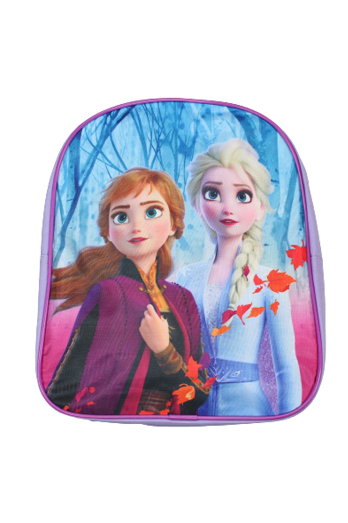 Frozen-Disney Frozen schoolbag, model fr211706 30 x 25 x 10 cm 1